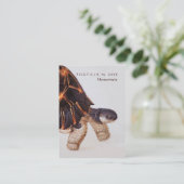 両面Herpetologist 名刺 (スタンド正面)