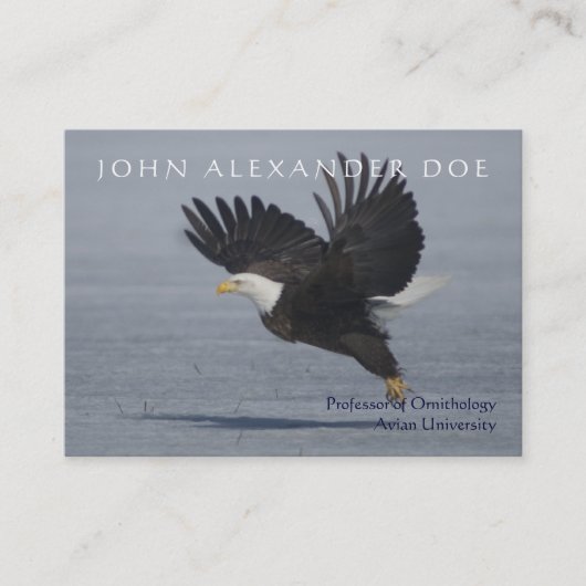 両面Onithologist -鳥類学教授- 名刺 (正面)