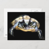 両頭のカメ ポストカード (正面/裏面)