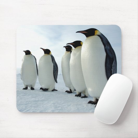並べられたコウテイペンギン マウスパッド (マウス)