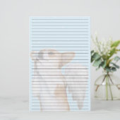 並べられたDottの天使の文房具 便箋 (スタンド正面)