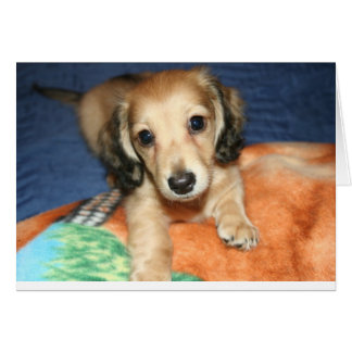 並んでまたは離れてマイル