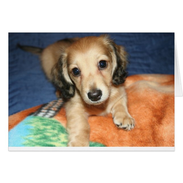 並んでまたは離れてマイル (正面横)