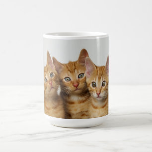 並んで3匹のかわいいショウガの子ネコ コーヒーマグカップ