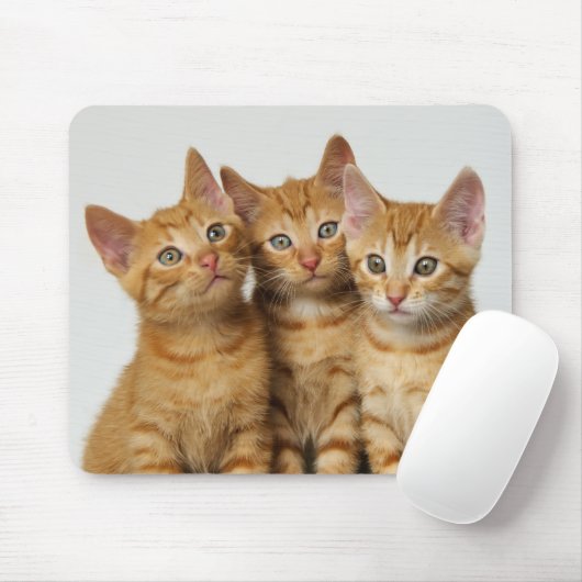 並んで3匹のかわいいショウガの子ネコ マウスパッド (マウス)