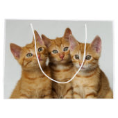 並んで3匹のかわいいショウガの子ネコ ラージペーパーバッグ (裏面)