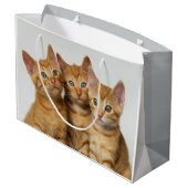 並んで3匹のかわいいショウガの子ネコ ラージペーパーバッグ (裏面アングル)