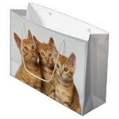 並んで3匹のかわいいショウガの子ネコ ラージペーパーバッグ (正面アングル)