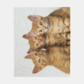 並んで3匹のかわいいショウガの子ネコ、柔らかい フリースブランケット (正面)