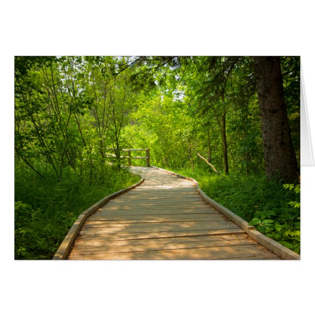 並木の道 (正面横)