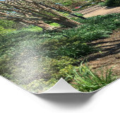 並木道 フォトプリント            (角)