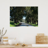 並木道 ポスター (キッチン)