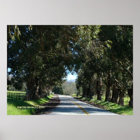 並木道 ポスター (正面)