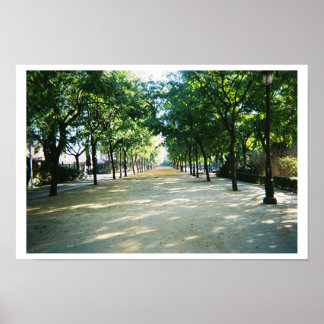 並木道 ポスター