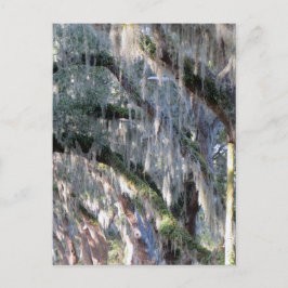 並木 ポストカード