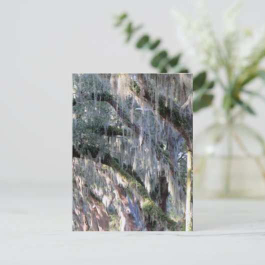 並木 ポストカード (スタンド正面)