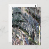 並木 ポストカード (正面/裏面)