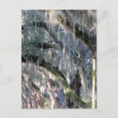 並木 ポストカード (正面)