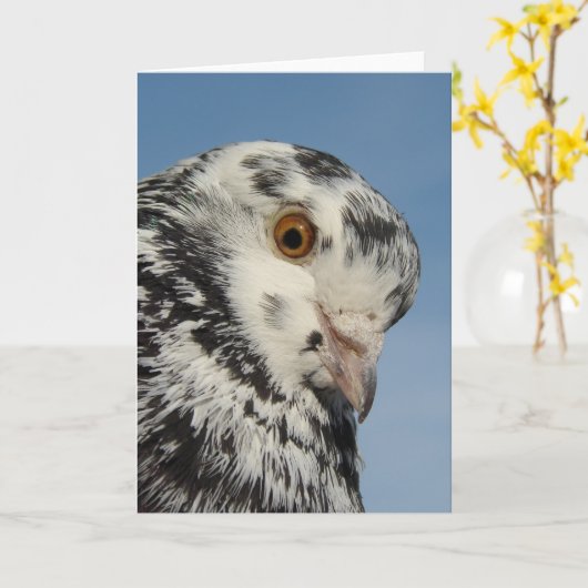 中かわいらしにハトが詰め空白のた カード (黄色い花)