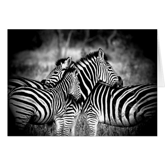 中にゼブラ考えるの輝くカスタム (正面横)