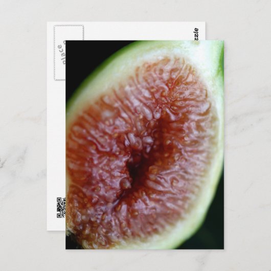 中に図 ポストカード (正面/裏面)