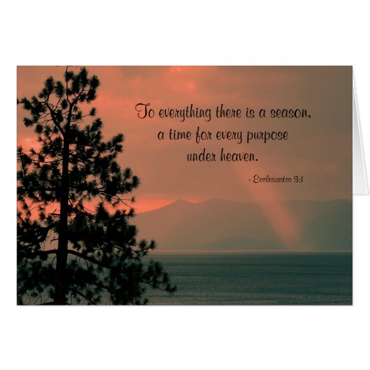 中に季節があるもの空白のに (正面横)