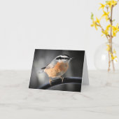 中に赤く焼いたオスのヌサッチ空白の カード (黄色い花)