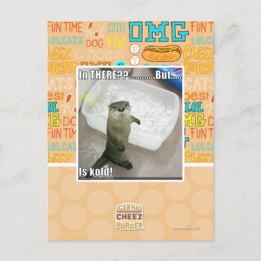 中に?コールドだ! ポストカード (正面)