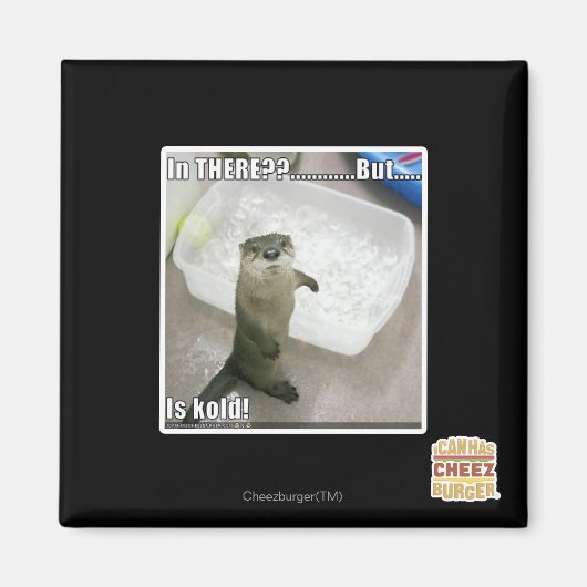 中に?コールドだ! マグネット (正面)