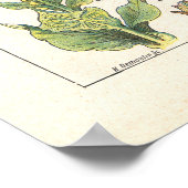 中のエモリエントプリントを落ち着ける薬草フランスの ポスター (角)