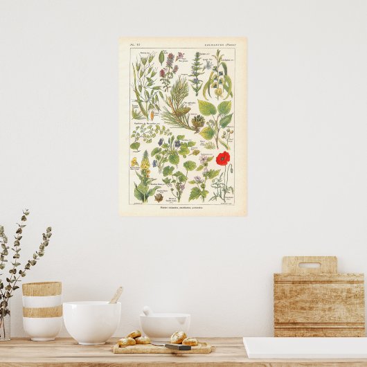 中のエモリエントプリントを落ち着ける薬草フランスの ポスター (キッチン)