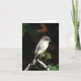 中のホー空白のベ カード