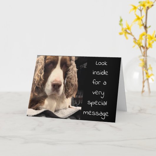 「中を覗け」と言う真剣な犬の誕生日願い カード (黄色い花)