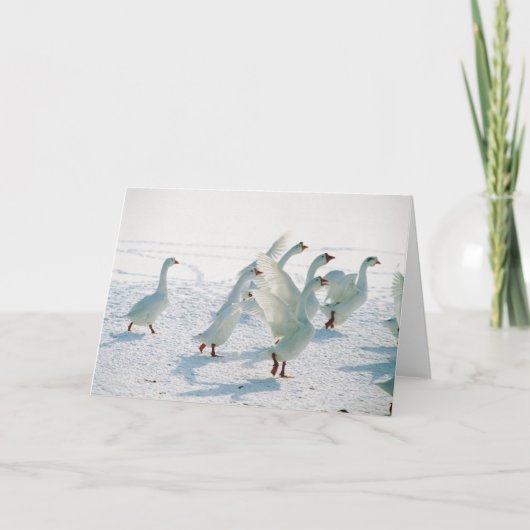 中ハクガンのクリスマスの休日のクリスマスのブランク シーズンカード (正面)