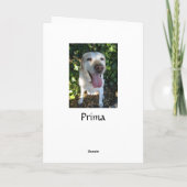 中ハッピーバースデーのPrima-のブランク カード (裏面)