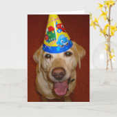 中ハッピーバースデーのPrima-のブランク カード (黄色い花)