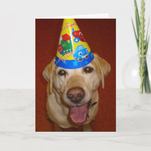 中ハッピーバースデーのPrima-のブランク カード