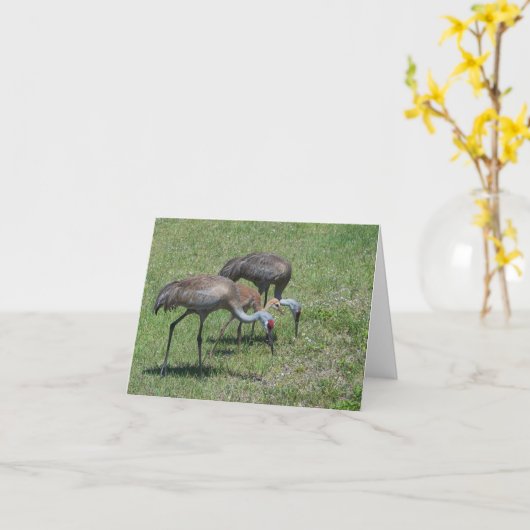 中ブランクは、フロリダSandhill歩くを伸ばします カード (黄色い花)