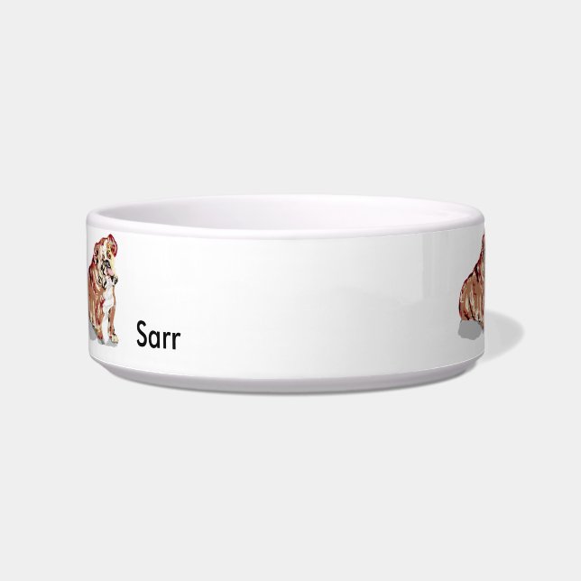 中ペットボウル ボウル (正面)