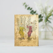 中世のハーバリストの実在写真はがき ポストカード (スタンド正面)