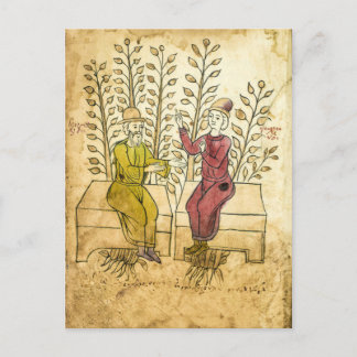 中世のハーバリストの実在写真はがき ポストカード