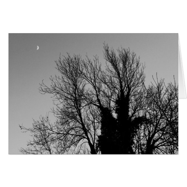 中世の冬の午後 (正面横)