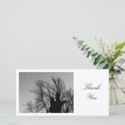 中世の冬の午後 – ありがとう サンキューカード (スタンド正面)