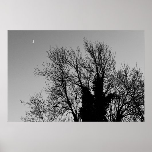 中世の冬の午後 ポスター (正面)