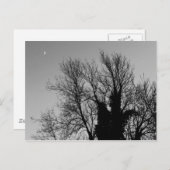 中世の冬の午後 ポストカード (正面/裏面)