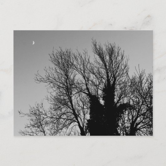 中世の冬の午後 ポストカード (正面)