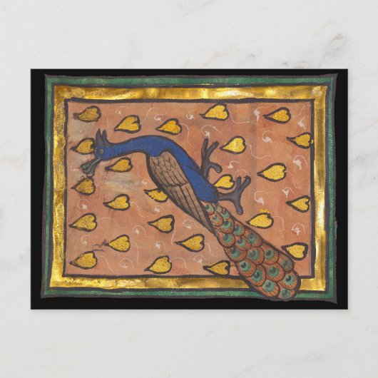 中世の動物寓話集 クジャク 1270年頃 ポストカード (正面)