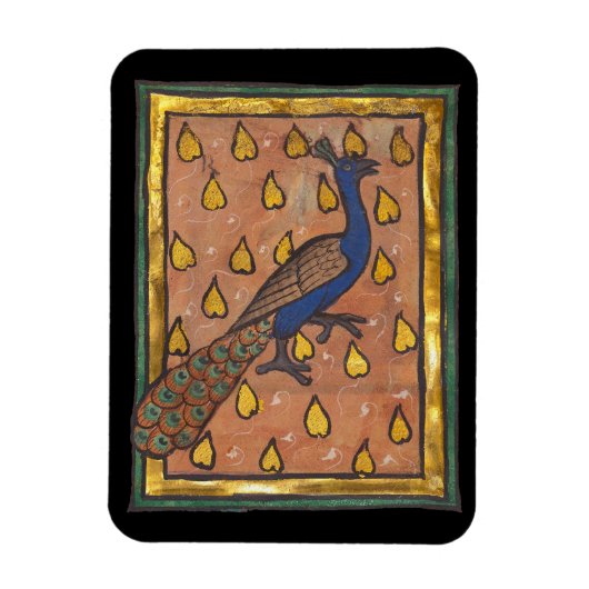 中世の動物寓話集　クジャク　1270年頃 マグネット (縦)