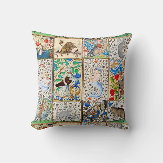 中世の獣医遊のミュージカル楽器 クッション (正面)