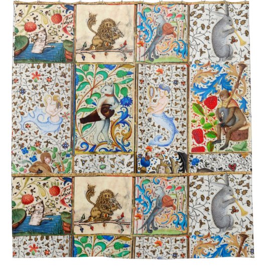 中世の獣医遊のミュージカル楽器 シャワーカーテン (正面)